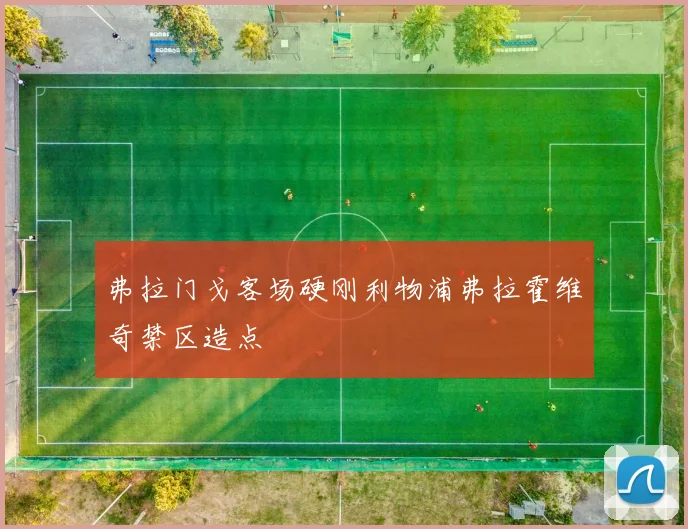 弗拉门戈客场硬刚利物浦弗拉霍维奇禁区造点