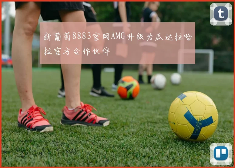 新葡萄8883官网AMG升级为瓜达拉哈拉官方合作伙伴