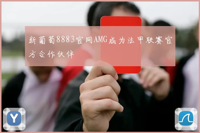 新葡萄8883官网AMG成为法甲联赛官方合作伙伴