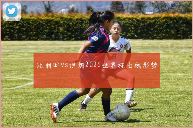 比利时vs伊朗2026世界杯出线形势