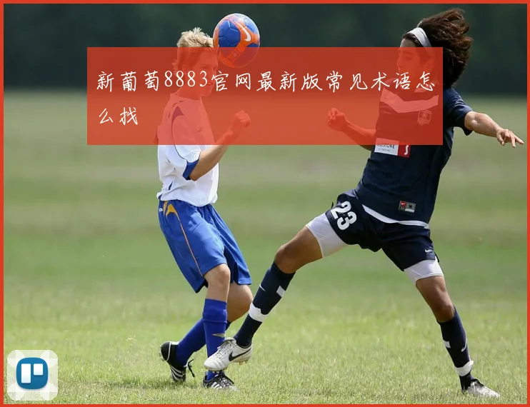 新葡萄8883官网最新版常见术语怎么找