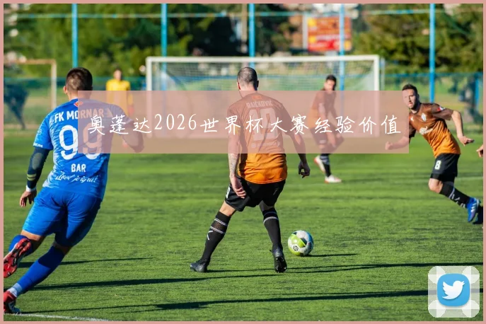 奥蓬达2026世界杯大赛经验价值